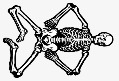 Skeleton Dead Skull Free Picture - Dead Skeleton Clipart, HD Png Download, Transparent PNG