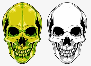 Euclidean Vector Skull Png Free Photo Clipart - Skull Png Free, Transparent Png, Transparent PNG