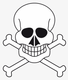 Skull Skeleton Pirate Free Picture - Iskelet Çizimi, HD Png Download, Transparent PNG