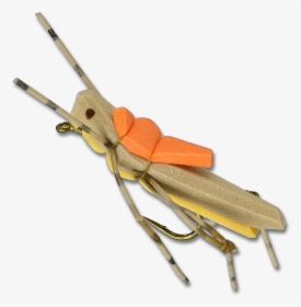 Morrish Hopper - Gold - Soldier Beetle, HD Png Download, Transparent PNG