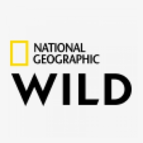 Nat Geo Wild - National Geographic, HD Png Download, Transparent PNG
