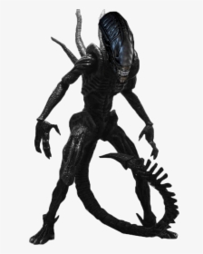 Character Stats And Profiles - Xenomorph White Background, HD Png Download, Transparent PNG