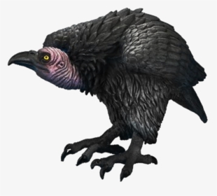 Png Of Vultures - Vulture Png, Transparent Png, Transparent PNG