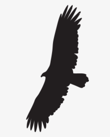 Hawks And Falcons - Eagle Soaring Cartoon, HD Png Download, Transparent PNG