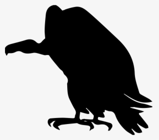 Vulture Bird Shape - Vulture Icon, HD Png Download, Transparent PNG