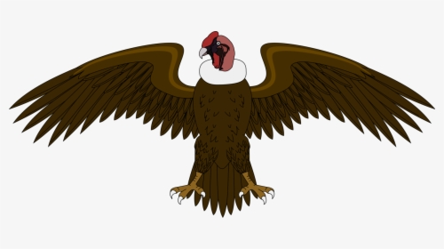 Eagle,bald Eagle,vulture - El Condor Del Escudo De Colombia, HD Png Download, Transparent PNG