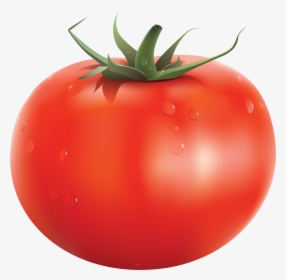 Tomato Png - Individual Fruits And Vegetables, Transparent Png, Transparent PNG