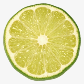 Sliced Lime Png Picture - Lime Png, Transparent Png, Transparent PNG