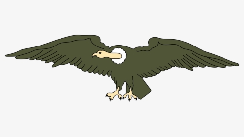 Turkey Vulture Bird California Condor Free Commercial - Clipart Images Of Vulture, HD Png Download, Transparent PNG