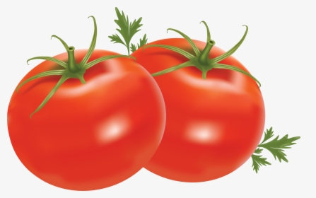Tomato Png - Tomatoes Png, Transparent Png, Transparent PNG