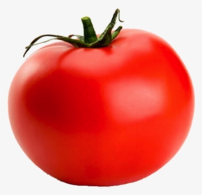 Tomato Png - Transparent Tomato, Png Download, Transparent PNG