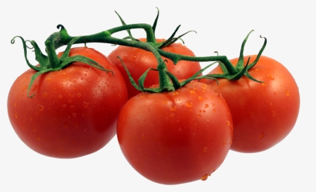 Tomatoes Png - Single Fruits And Vegetables, Transparent Png, Transparent PNG
