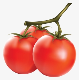 Tomato Png Transparent Image, Png Download, Transparent PNG