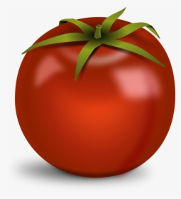 Tomato Clip Art Free Png - Transparent Background Tomato Clip Art, Png Download, Transparent PNG