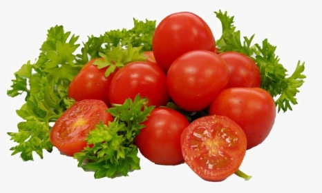 Fresh Tomato Png Free Download - Gandhi And Freedom Struggle Ppt, Transparent Png, Transparent PNG
