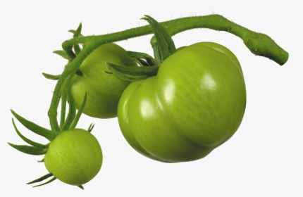 Green Tomato Png - Green Tomato Transparent Background, Png Download, Transparent PNG