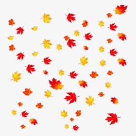 Autumn Leaves Transparent Background Clipart , Png - Fall Leaves Transparent Background, Png Download, Transparent PNG