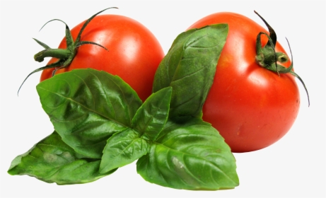 Помидор Png - Transparent Background Tomatoes Png, Png Download, Transparent PNG