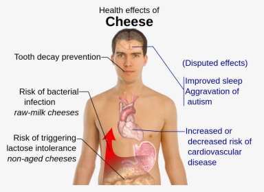 Lactose Intolerance Effects, HD Png Download, Transparent PNG