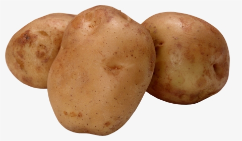 Vegetables Potato, HD Png Download, Transparent PNG