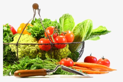 Vegetable Png Image - Fruit And Veg Transparent Background, Png Download, Transparent PNG