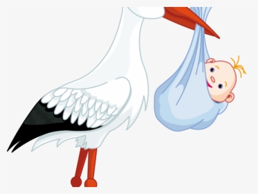 Stork Clipart Baby Transparent Background - Vino La Cigueña, HD Png Download, Transparent PNG