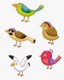 Lovebird Parrot Owl - Dibujos Animales Con Plumas, HD Png Download, Transparent PNG