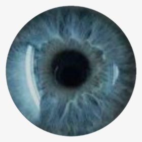 Transparent Ojo Png - Blue Eyes For Editing, Png Download, Transparent PNG