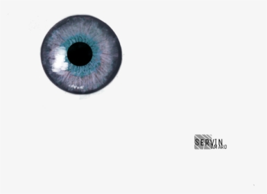 Ojos Azul Violeta - Circle, HD Png Download, Transparent PNG