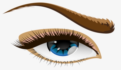 Ojo, Ojos Azules, Párpado, Iris, Las Cejas, Cejas, - Eye With Lashes Png, Transparent Png, Transparent PNG