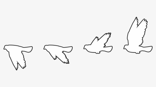 Transparent Seagulls Flying Png - White Flying Bird Silhouette, Png Download, Transparent PNG