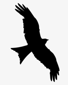 Clip Art Silhouette Portable Network Graphics Falcon - Transparent Flying Bird Silhouette, HD Png Download, Transparent PNG
