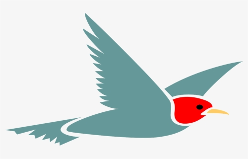 Transparent Bird Flying Png - Cartoon Bird Flying Transparent Background, Png Download, Transparent PNG