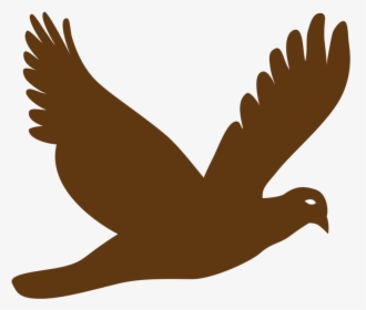 Bird Vector Png - Flying Bird Vector Png, Transparent Png, Transparent PNG