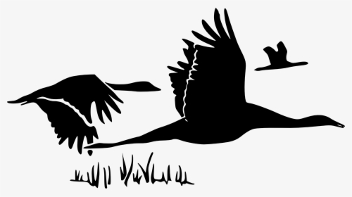 Swans, Silhouette, Black, Flying, Birds, Three - Want This Music And This Dawn, HD Png Download, Transparent PNG
