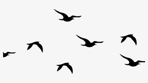 Flying Birds Silhouette Png Clipart , Png Download - Flying Silhouette Bird Clipart, Transparent Png, Transparent PNG