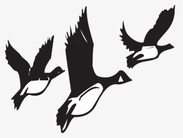 Geese, Flying, Birds, Flight, Black, White, Wildlife - Birds Migrating Black And White, HD Png Download, Transparent PNG