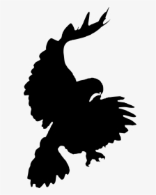Bird Red-tailed Hawk Silhouette Clip Art - Hawk Pouncing, HD Png Download, Transparent PNG