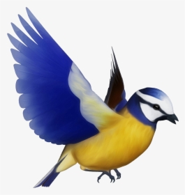 Transparent Colorful Png - Flying Bird, Png Download, Transparent PNG