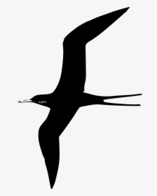 Bird Vector Png - Birds Black Clipart, Transparent Png, Transparent PNG
