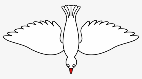 Vector Doves In Flight - Dove Bird Flying Down, HD Png Download, Transparent PNG