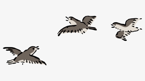 Bird Plover Flying Free Picture - Bird Fly Clip Art, HD Png Download, Transparent PNG