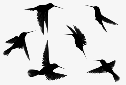 Bird Outline Png - Flying Birds Clipart Black And White, Transparent Png, Transparent PNG