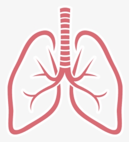 Gifs Y Fondos Paz - Lungs Clipart, HD Png Download, Transparent PNG