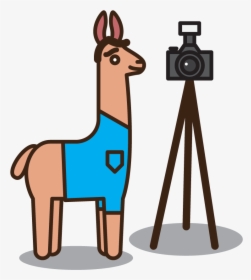 An Illustrated Cartoon Llama With A Camera On A Tripod - Cartoon, HD Png Download, Transparent PNG