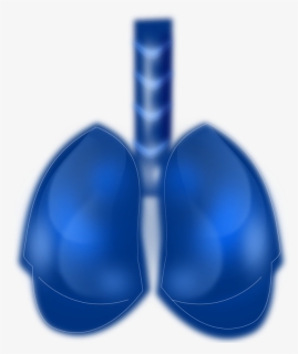 Blue Lungs Human Png, Transparent Png, Transparent PNG