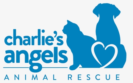 Transparent Rescue Png - Angel Animal Rescue, Png Download, Transparent PNG
