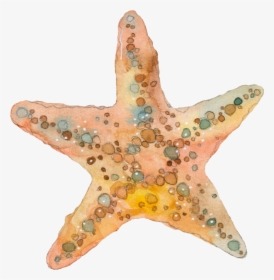 Estrela Do Mar Aquarela , Png Download - Watercolor Starfish Clip Art, Transparent Png, Transparent PNG