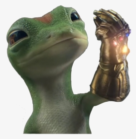 Insurance Geico Lizard, HD Png Download, Transparent PNG