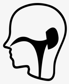 Ent Department - Ear Nose Throat Icon, HD Png Download, Transparent PNG